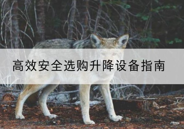 和政升降货梯厂家推荐-*安全选购升降设备指南