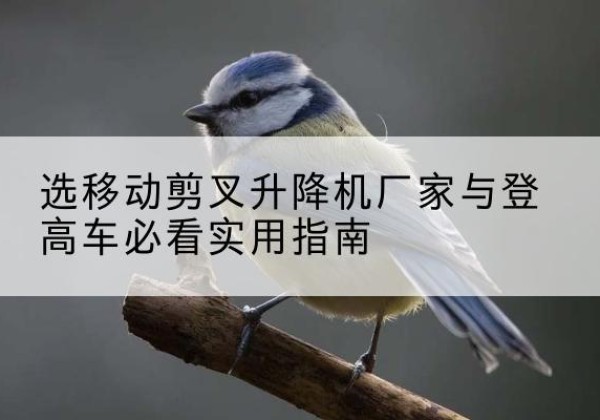 和政电动升降机厂家-选移动剪叉升降机厂家与登高车必看实用指南