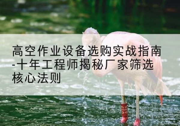 和政剪叉式升降机厂家-高空作业设备选购实战指南-十年工程师揭秘厂家筛选核心法则